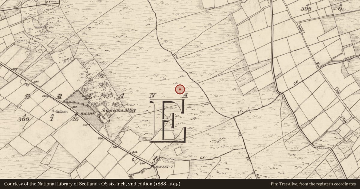 Ordnance Survey six-inch map, 2nd edition (1888–1915) covering the location of Rock art, Srugreana, County Kerry, with a pin at the register's coordinates