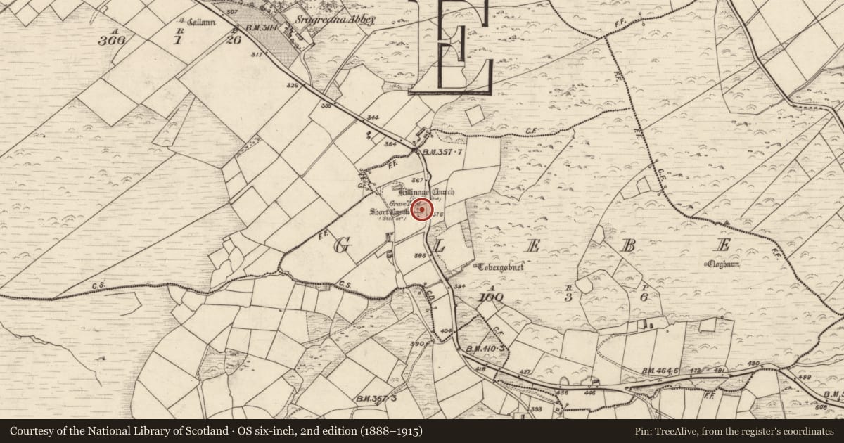 Ordnance Survey six-inch map, 2nd edition (1888–1915) covering the location of Castle - unclassified, Glebe, County Kerry, with a pin at the register's coordinates