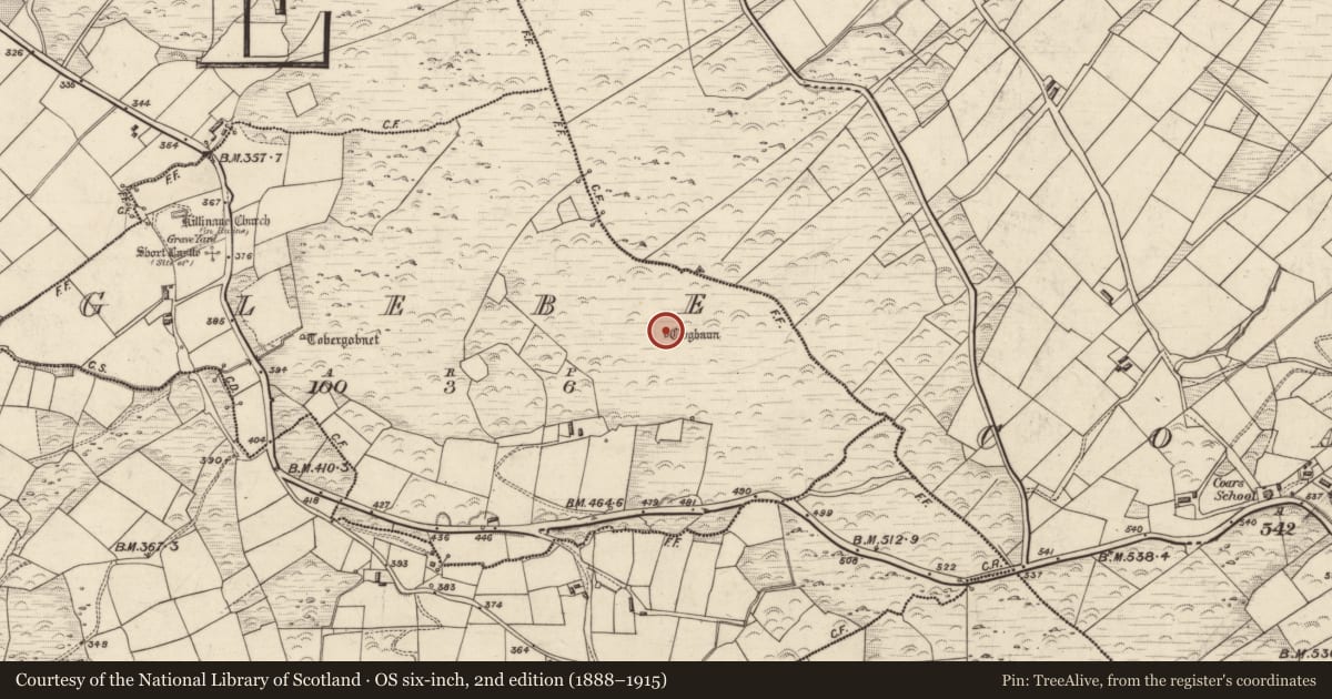 Ordnance Survey six-inch map, 2nd edition (1888–1915) covering the location of Hut site, Glebe, County Kerry, with a pin at the register's coordinates