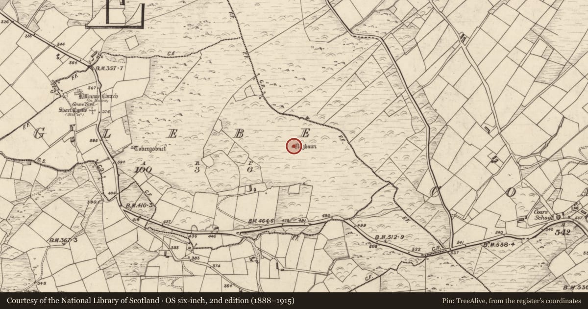 Ordnance Survey six-inch map, 2nd edition (1888–1915) covering the location of Hut site, Glebe, County Kerry, with a pin at the register's coordinates