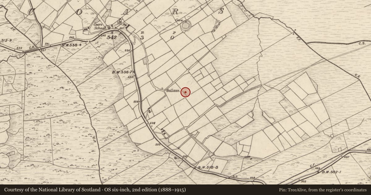 Ordnance Survey six-inch map, 2nd edition (1888–1915) covering the location of Standing stone, Coars, County Kerry, with a pin at the register's coordinates