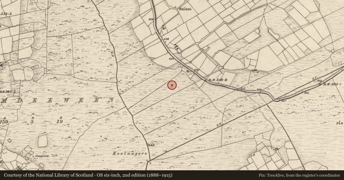 Ordnance Survey six-inch map, 2nd edition (1888–1915) covering the location of Ringfort - cashel, Coars, County Kerry, with a pin at the register's coordinates