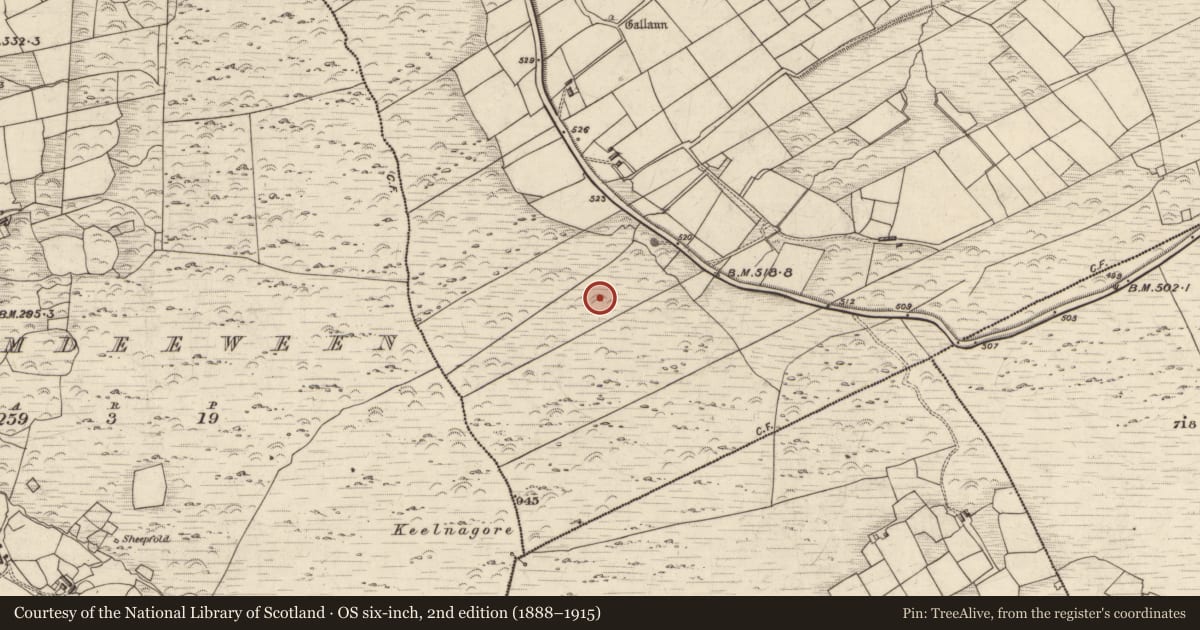 Ordnance Survey six-inch map, 2nd edition (1888–1915) covering the location of Souterrain, Coars, County Kerry, with a pin at the register's coordinates