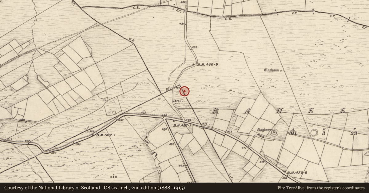 Ordnance Survey six-inch map, 2nd edition (1888–1915) covering the location of Hut site, Raheens, County Kerry, with a pin at the register's coordinates