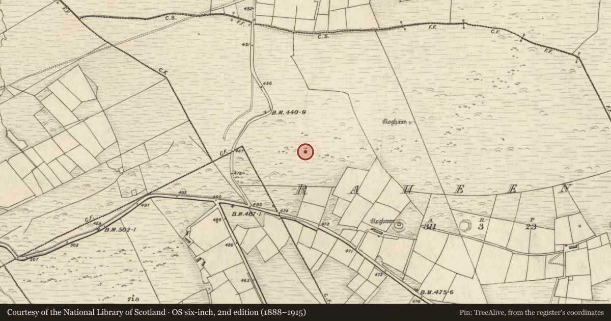 Ordnance Survey six-inch map, 2nd edition (1888–1915) covering the location of Hut site, Raheens, County Kerry, with a pin at the register's coordinates