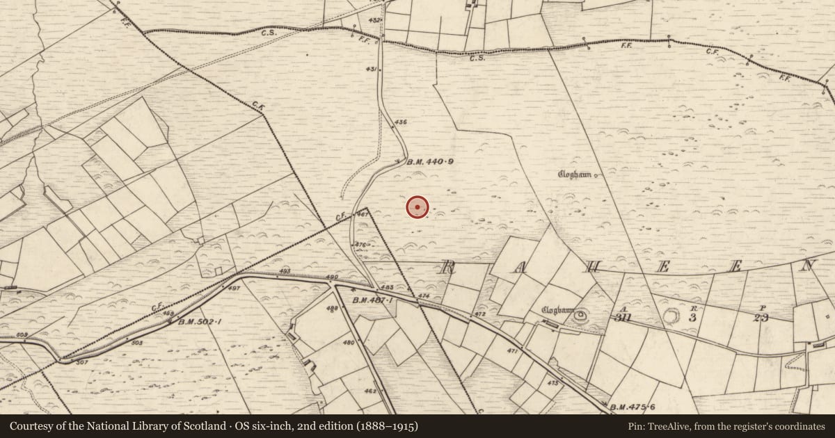 Ordnance Survey six-inch map, 2nd edition (1888–1915) covering the location of Field boundary, Raheens, County Kerry, with a pin at the register's coordinates