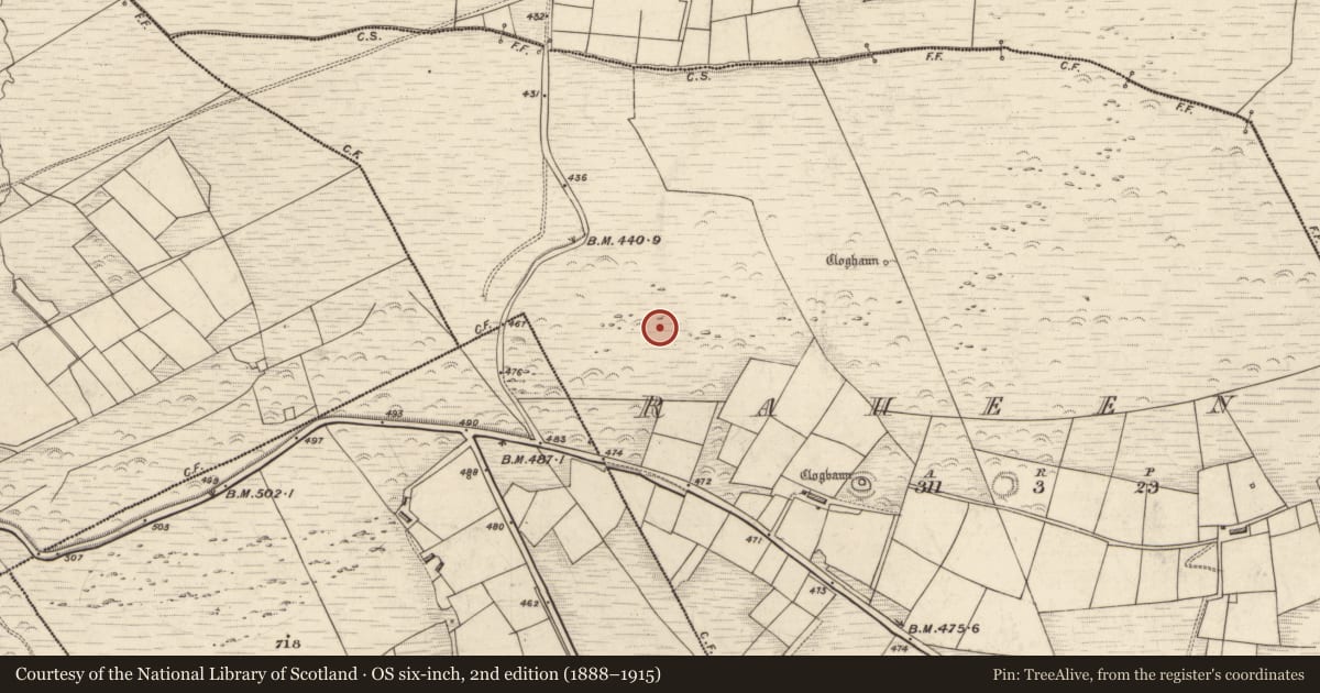 Ordnance Survey six-inch map, 2nd edition (1888–1915) covering the location of Hut site, Raheens, County Kerry, with a pin at the register's coordinates