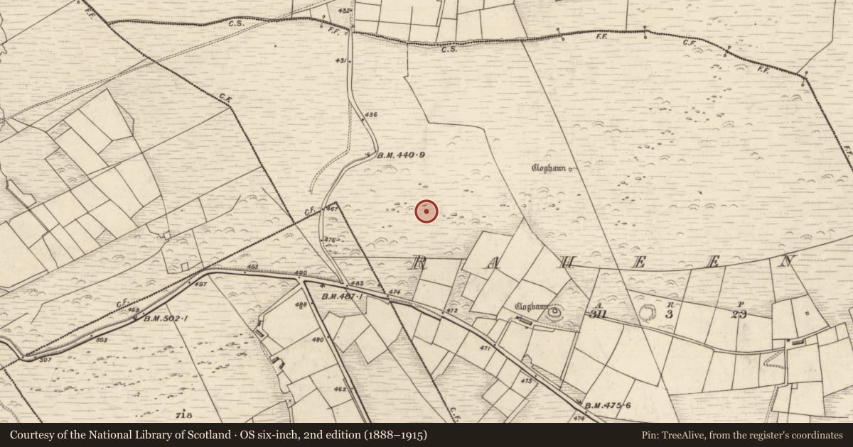 Ordnance Survey six-inch map, 2nd edition (1888–1915) covering the location of Hut site, Raheens, County Kerry, with a pin at the register's coordinates