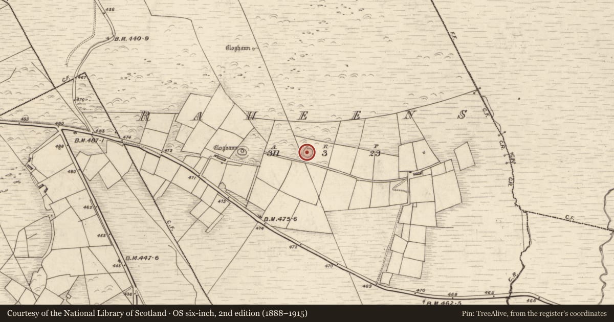 Ordnance Survey six-inch map, 2nd edition (1888–1915) covering the location of Ringfort - rath, Raheens, County Kerry, with a pin at the register's coordinates
