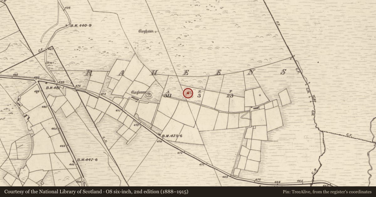 Ordnance Survey six-inch map, 2nd edition (1888–1915) covering the location of Hut site, Raheens, County Kerry, with a pin at the register's coordinates