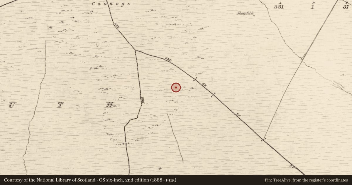 Ordnance Survey six-inch map, 2nd edition (1888–1915) covering the location of Hut site, An Toileán Buí, County Kerry, with a pin at the register's coordinates