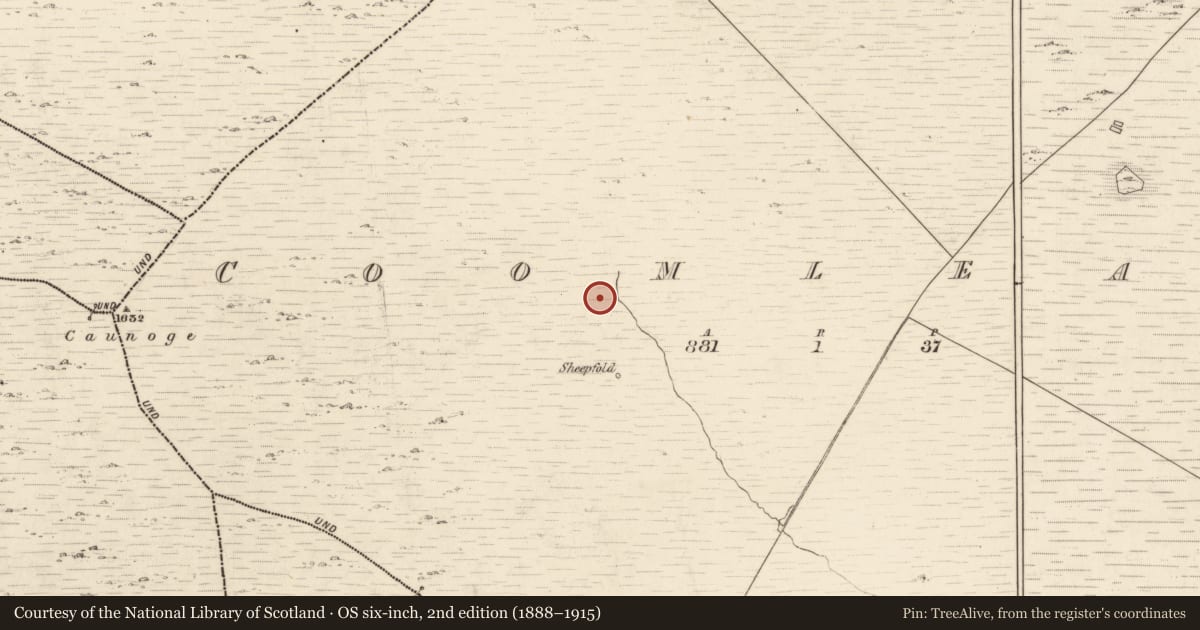 Ordnance Survey six-inch map, 2nd edition (1888–1915) covering the location of Hut site, Coomleagh, County Kerry, with a pin at the register's coordinates