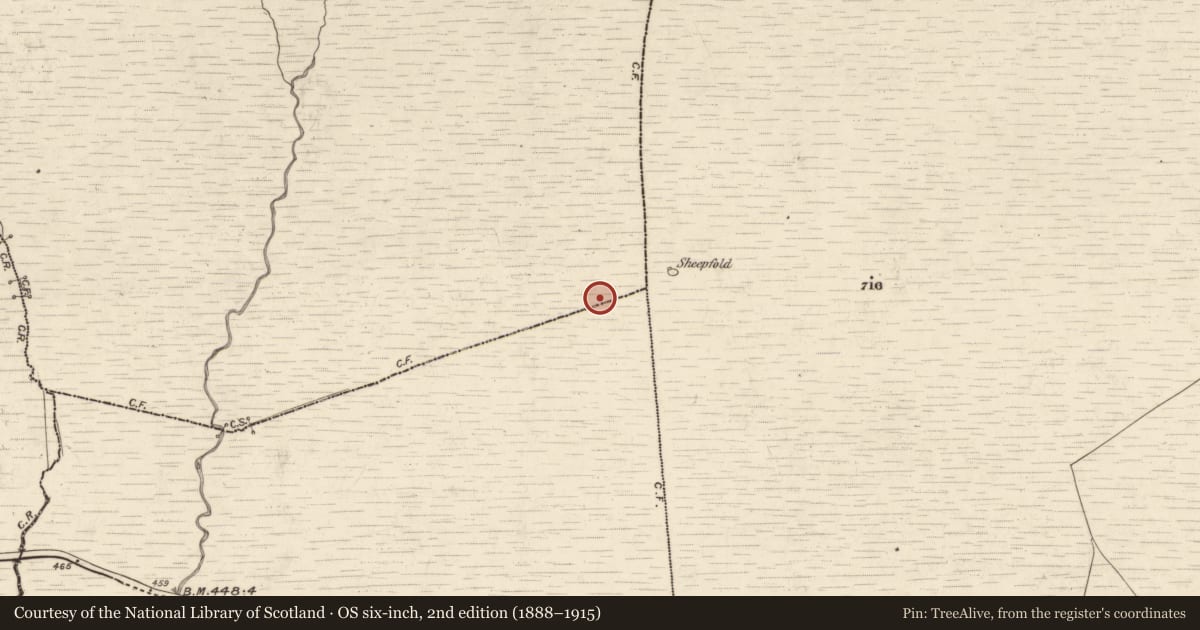 Ordnance Survey six-inch map, 2nd edition (1888–1915) covering the location of Hut site, Garrane South, County Kerry, with a pin at the register's coordinates