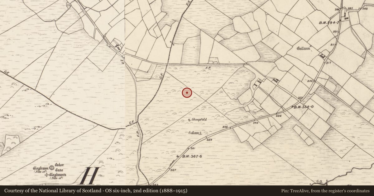 Ordnance Survey six-inch map, 2nd edition (1888–1915) covering the location of Megalithic structure, Canburrin, County Kerry, with a pin at the register's coordinates