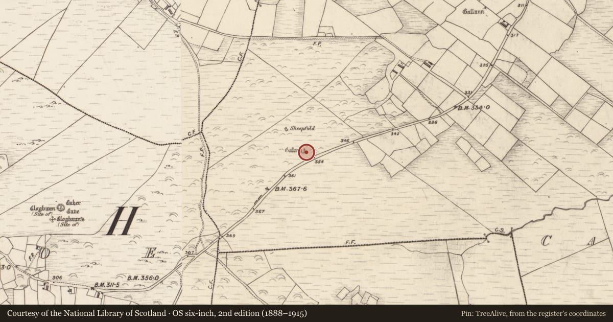 Ordnance Survey six-inch map, 2nd edition (1888–1915) covering the location of Standing stone, Canburrin, County Kerry, with a pin at the register's coordinates