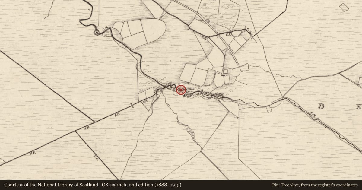 Ordnance Survey six-inch map, 2nd edition (1888–1915) covering the location of Hut site, Derrymore, County Kerry, with a pin at the register's coordinates