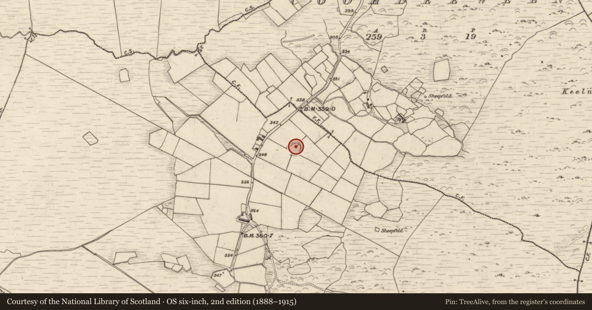 Ordnance Survey six-inch map, 2nd edition (1888–1915) covering the location of Ringfort - rath, Derrymore, County Kerry, with a pin at the register's coordinates