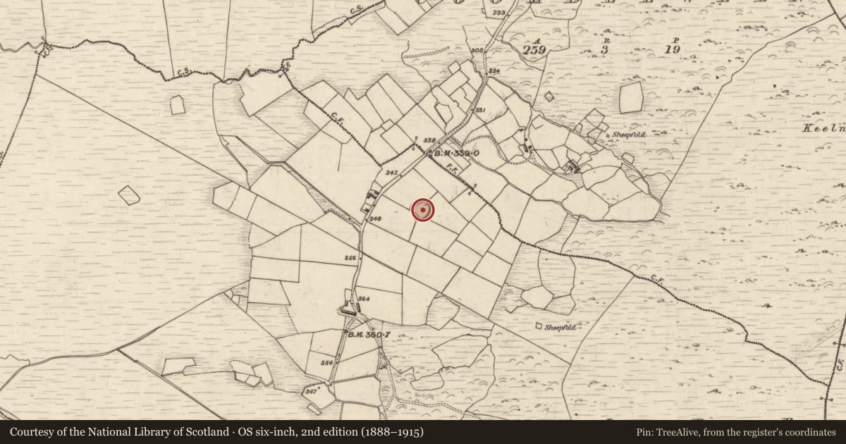 Ordnance Survey six-inch map, 2nd edition (1888–1915) covering the location of Hut site, Derrymore, County Kerry, with a pin at the register's coordinates