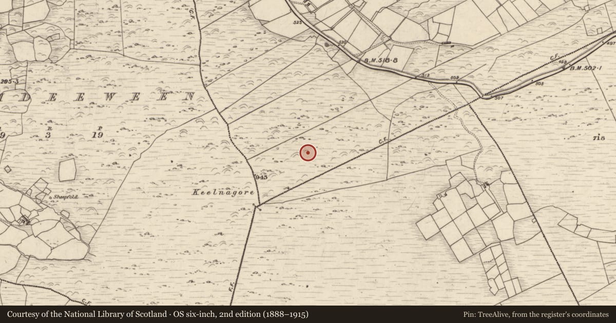 Ordnance Survey six-inch map, 2nd edition (1888–1915) covering the location of Hut site, Coars, County Kerry, with a pin at the register's coordinates