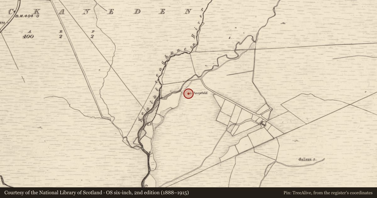 Ordnance Survey six-inch map, 2nd edition (1888–1915) covering the location of Hut site, Caol An Phréacháin Thoir, County Kerry, with a pin at the register's coordinates