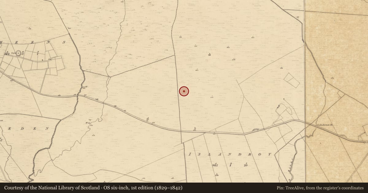 Ordnance Survey six-inch map, 1st edition (1829–1842) covering the location of Hut site, An Toileán Buí, County Kerry, with a pin at the register's coordinates