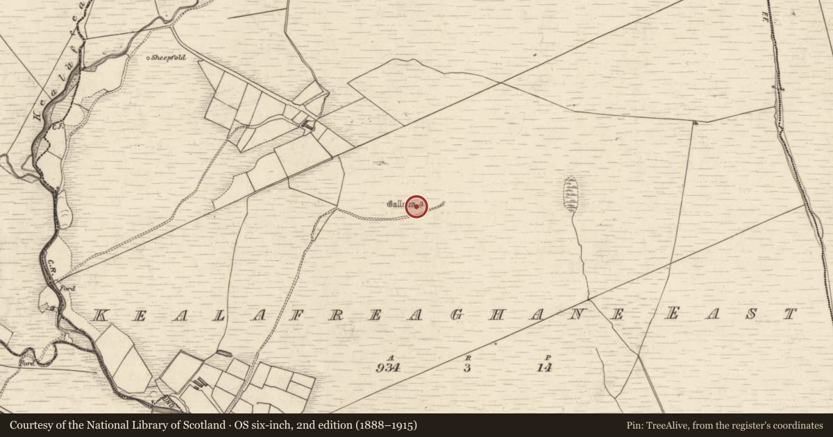 Ordnance Survey six-inch map, 2nd edition (1888–1915) covering the location of Standing stone - pair, Caol An Phréacháin Thoir, County Kerry, with a pin at the register's coordinates