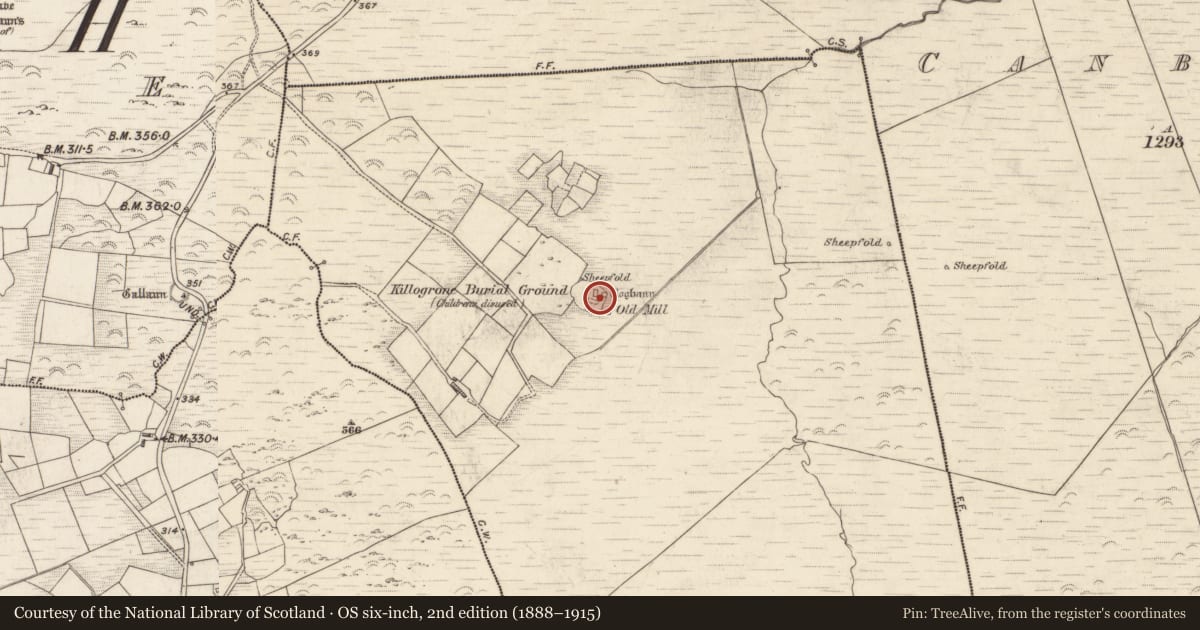 Ordnance Survey six-inch map, 2nd edition (1888–1915) covering the location of Children's burial ground, Killogrone, County Kerry, with a pin at the register's coordinates