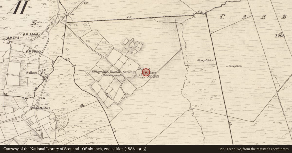 Ordnance Survey six-inch map, 2nd edition (1888–1915) covering the location of Hut site, Killogrone, County Kerry, with a pin at the register's coordinates