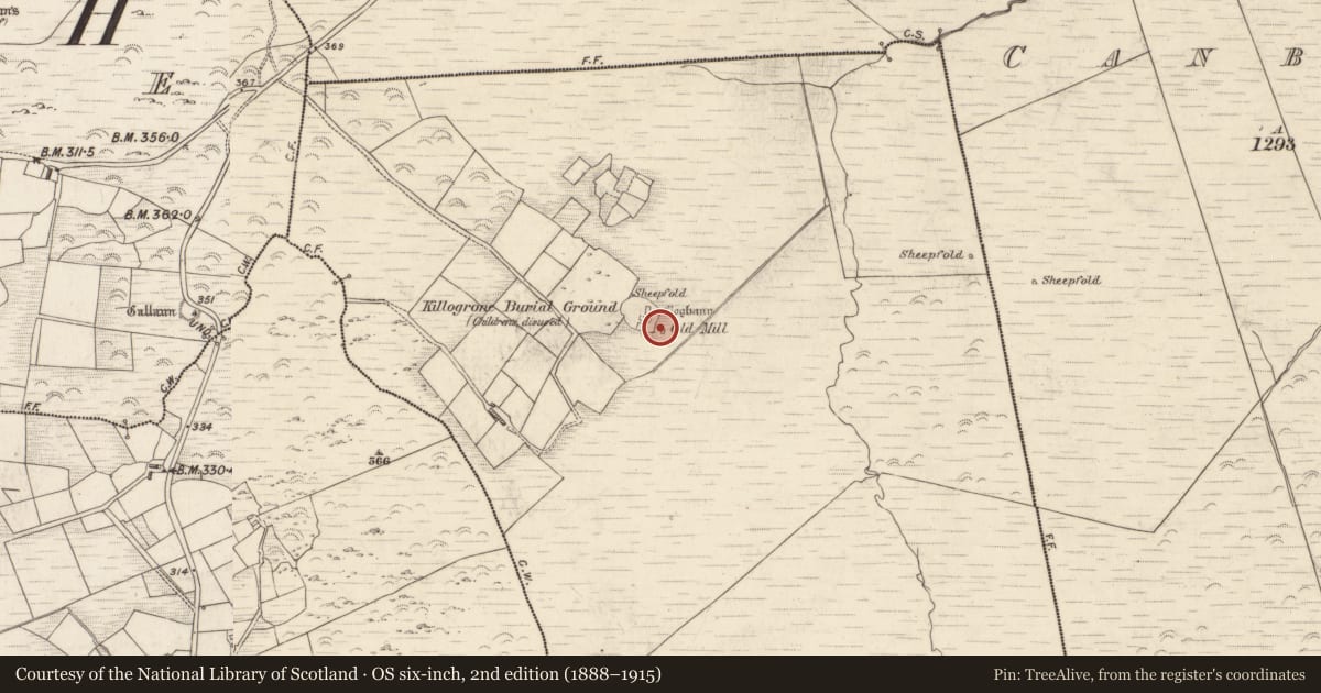 Ordnance Survey six-inch map, 2nd edition (1888–1915) covering the location of Hut site, Killogrone, County Kerry, with a pin at the register's coordinates