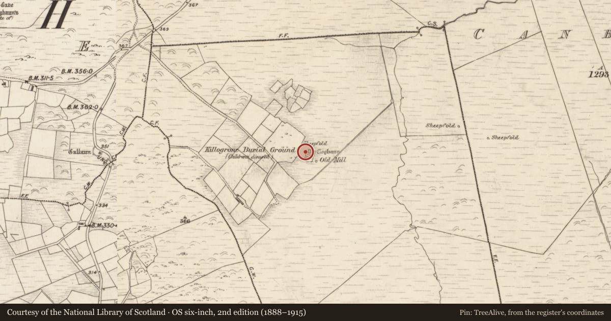Ordnance Survey six-inch map, 2nd edition (1888–1915) covering the location of Hut site, Killogrone, County Kerry, with a pin at the register's coordinates