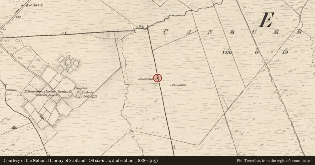Ordnance Survey six-inch map, 2nd edition (1888–1915) covering the location of Hut site, Killogrone, County Kerry, with a pin at the register's coordinates