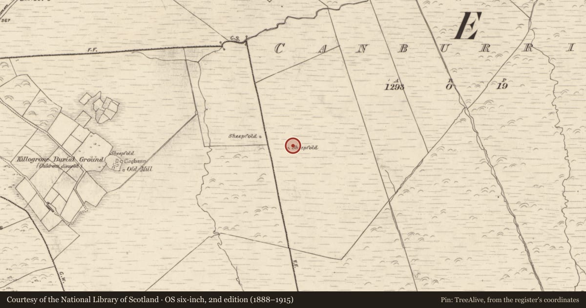 Ordnance Survey six-inch map, 2nd edition (1888–1915) covering the location of Hut site, Canburrin, County Kerry, with a pin at the register's coordinates