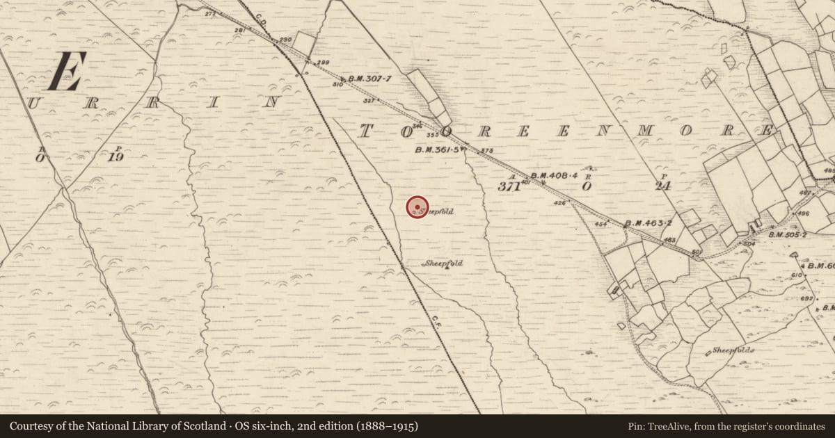 Ordnance Survey six-inch map, 2nd edition (1888–1915) covering the location of Hut site, Tooreenmore, County Kerry, with a pin at the register's coordinates