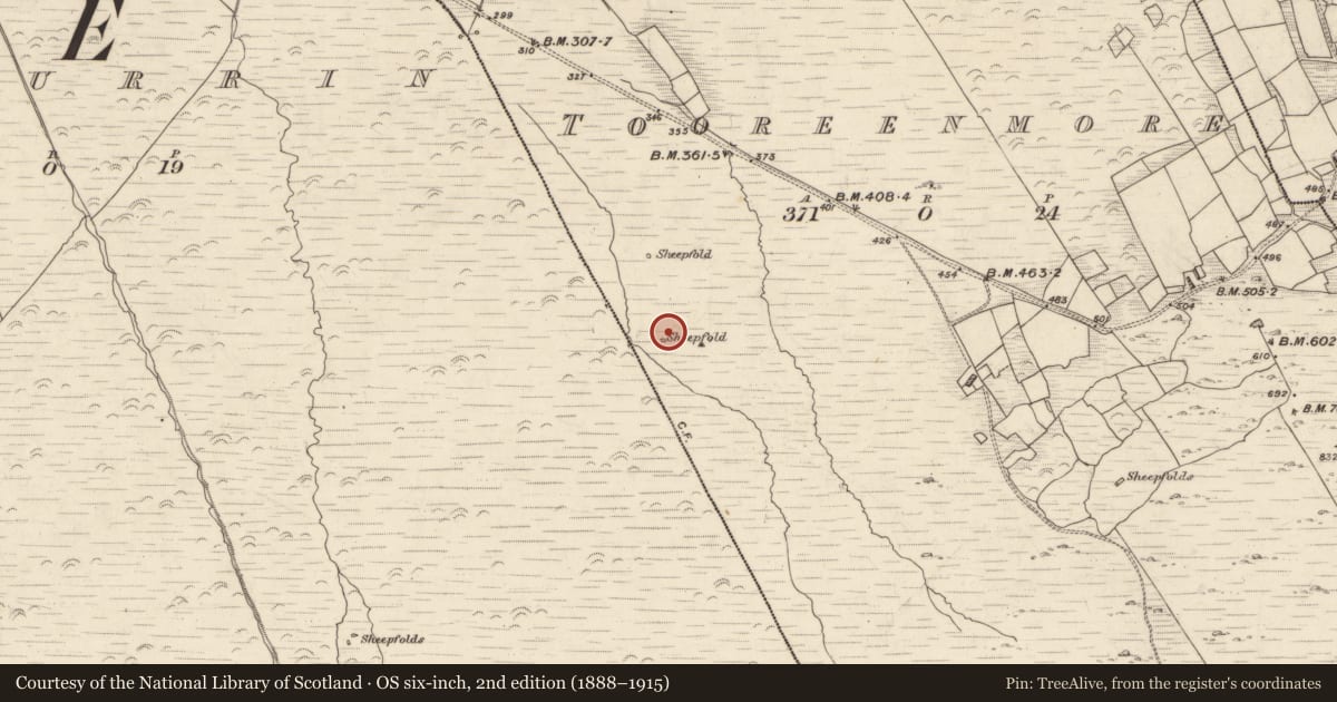 Ordnance Survey six-inch map, 2nd edition (1888–1915) covering the location of Hut site, Tooreenmore, County Kerry, with a pin at the register's coordinates