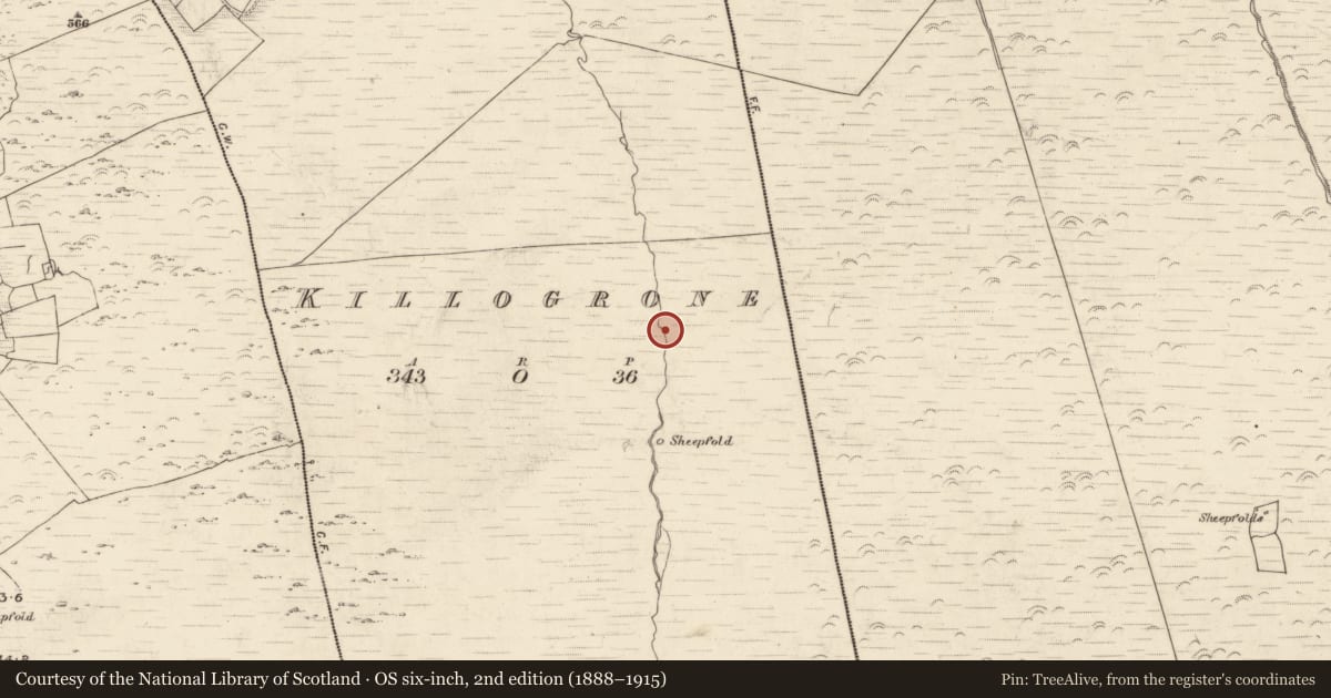 Ordnance Survey six-inch map, 2nd edition (1888–1915) covering the location of Hut site, Killogrone, County Kerry, with a pin at the register's coordinates