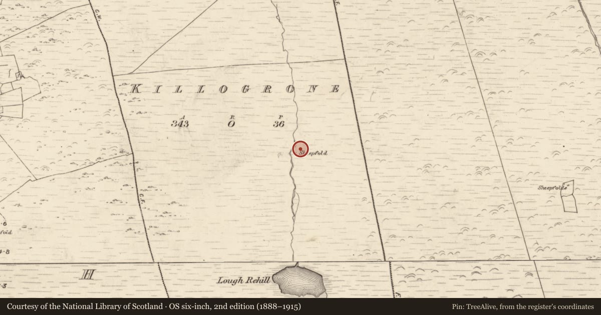 Ordnance Survey six-inch map, 2nd edition (1888–1915) covering the location of Hut site, Killogrone, County Kerry, with a pin at the register's coordinates