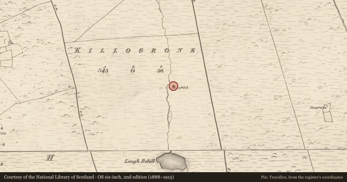 Ordnance Survey six-inch map, 2nd edition (1888–1915) covering the location of Field system, Killogrone, County Kerry, with a pin at the register's coordinates