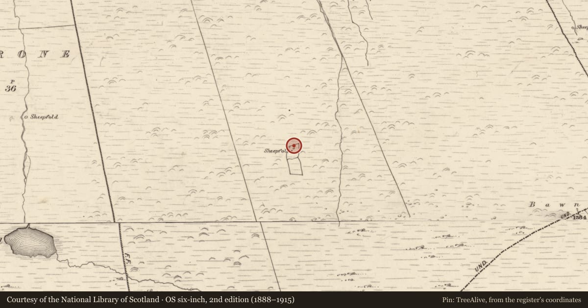 Ordnance Survey six-inch map, 2nd edition (1888–1915) covering the location of Hut site, Canburrin, County Kerry, with a pin at the register's coordinates