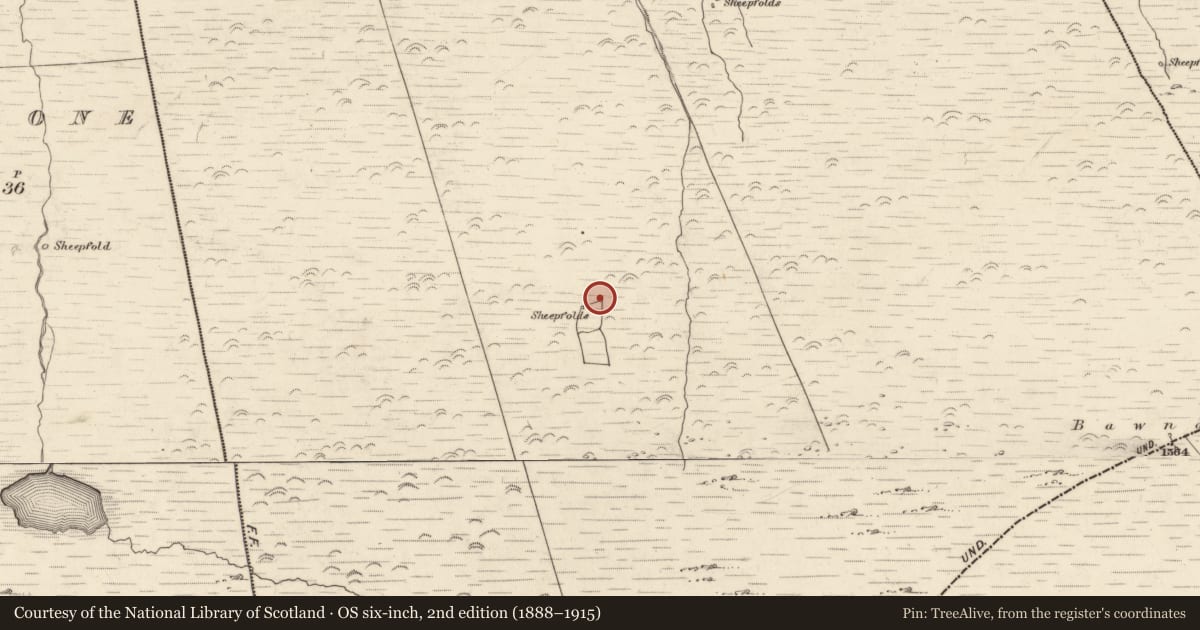 Ordnance Survey six-inch map, 2nd edition (1888–1915) covering the location of Hut site, Canburrin, County Kerry, with a pin at the register's coordinates