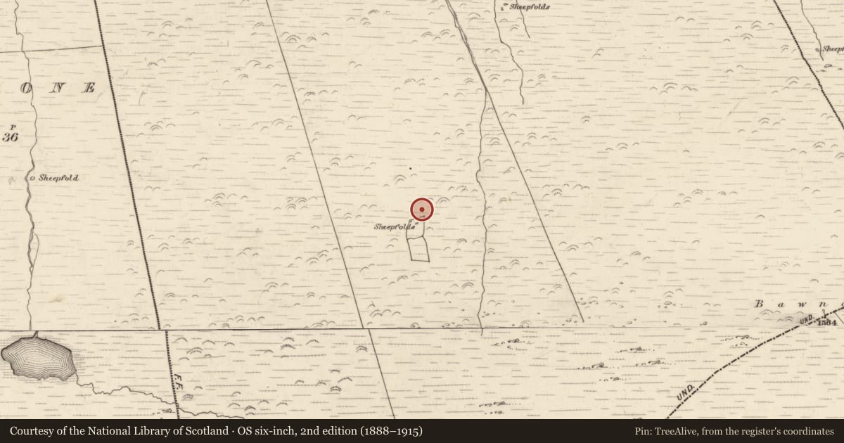 Ordnance Survey six-inch map, 2nd edition (1888–1915) covering the location of Hut site, Canburrin, County Kerry, with a pin at the register's coordinates