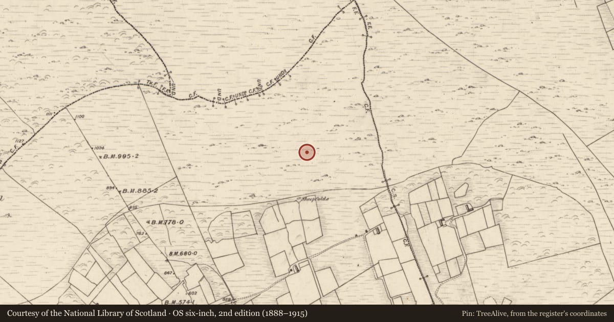 Ordnance Survey six-inch map, 2nd edition (1888–1915) covering the location of Hut site, Cúm Dhá Stogha, County Kerry, with a pin at the register's coordinates