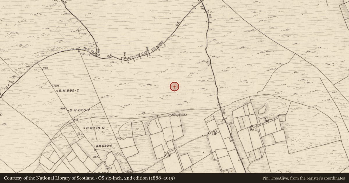 Ordnance Survey six-inch map, 2nd edition (1888–1915) covering the location of Hut site, Cúm Dhá Stogha, County Kerry, with a pin at the register's coordinates