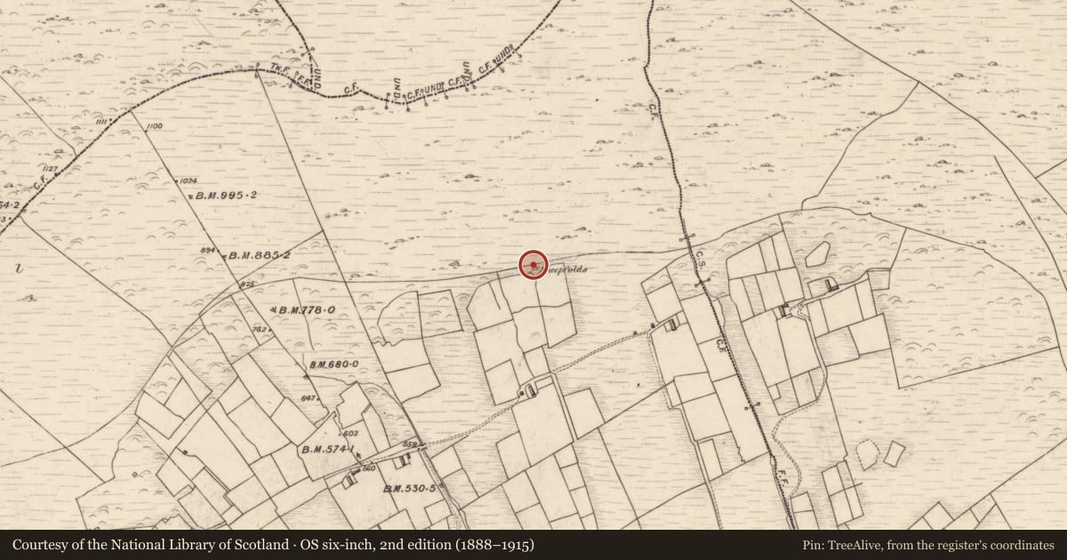 Ordnance Survey six-inch map, 2nd edition (1888–1915) covering the location of Hut site, Cúm Dhá Stogha, County Kerry, with a pin at the register's coordinates