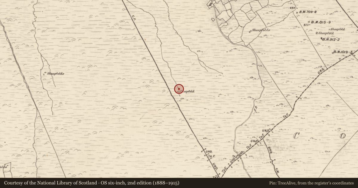 Ordnance Survey six-inch map, 2nd edition (1888–1915) covering the location of Hut site, Tooreenmore, County Kerry, with a pin at the register's coordinates