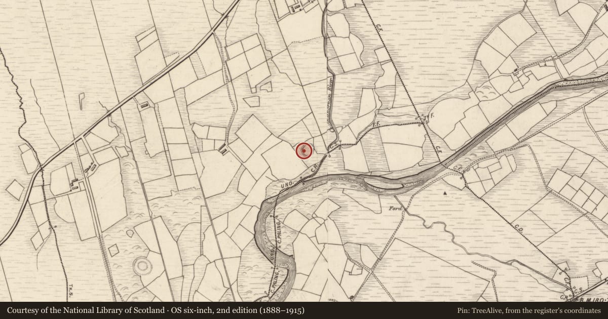 Ordnance Survey six-inch map, 2nd edition (1888–1915) covering the location of Ringfort - rath, An Toileán Buí, County Kerry, with a pin at the register's coordinates