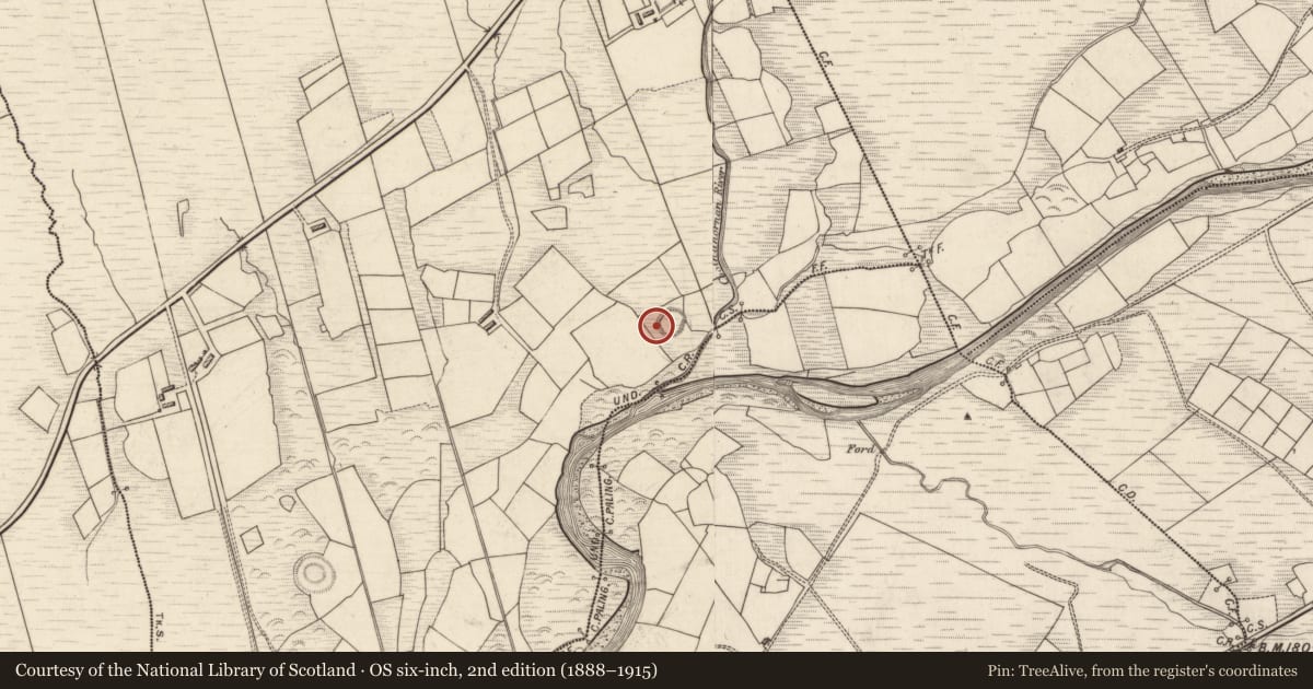 Ordnance Survey six-inch map, 2nd edition (1888–1915) covering the location of Souterrain, Islandboy, County Kerry, with a pin at the register's coordinates