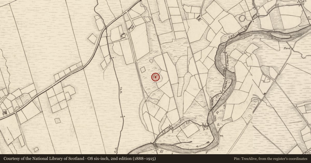Ordnance Survey six-inch map, 2nd edition (1888–1915) covering the location of Cultivation ridges, Islandboy, County Kerry, with a pin at the register's coordinates