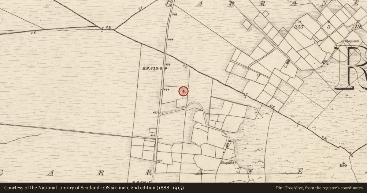 Ordnance Survey six-inch map, 2nd edition (1888–1915) covering the location of Field boundary, Garrane North, Garrane South, County Kerry, with a pin at the register's coordinates