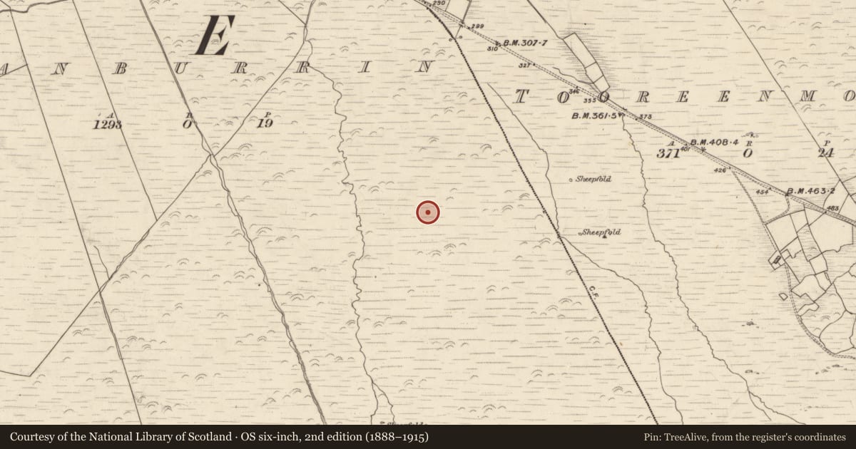 Ordnance Survey six-inch map, 2nd edition (1888–1915) covering the location of Hut site, Canburrin, County Kerry, with a pin at the register's coordinates