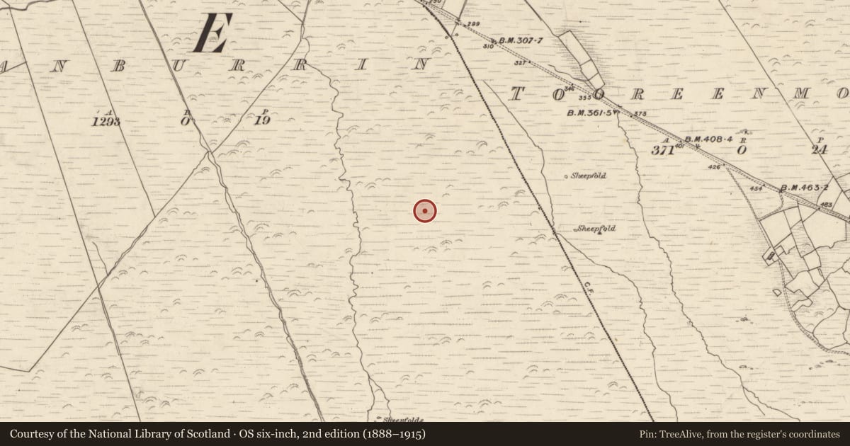 Ordnance Survey six-inch map, 2nd edition (1888–1915) covering the location of Field boundary, Canburrin, County Kerry, with a pin at the register's coordinates